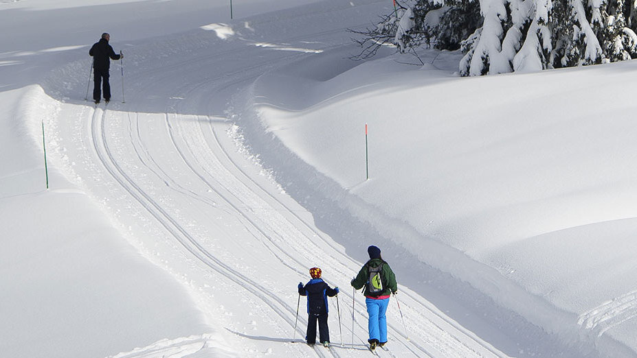 Cross-country skiing in Styria | steiermark.com
