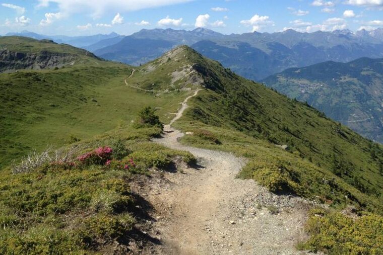 a mountain bike trail in Meribel