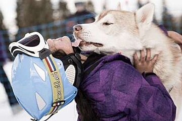 Meet the husky sled dogs, Meribel