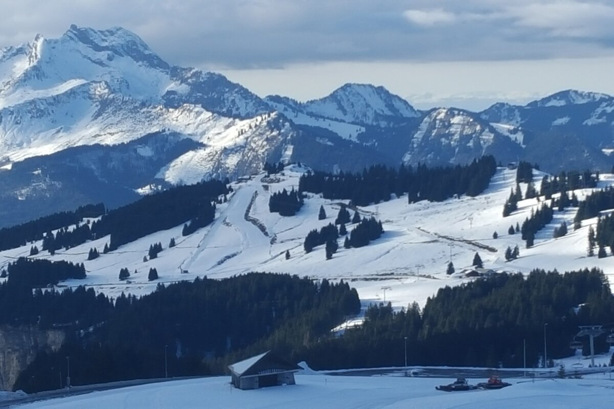 A snowy mountain range with a few trees in the foreground