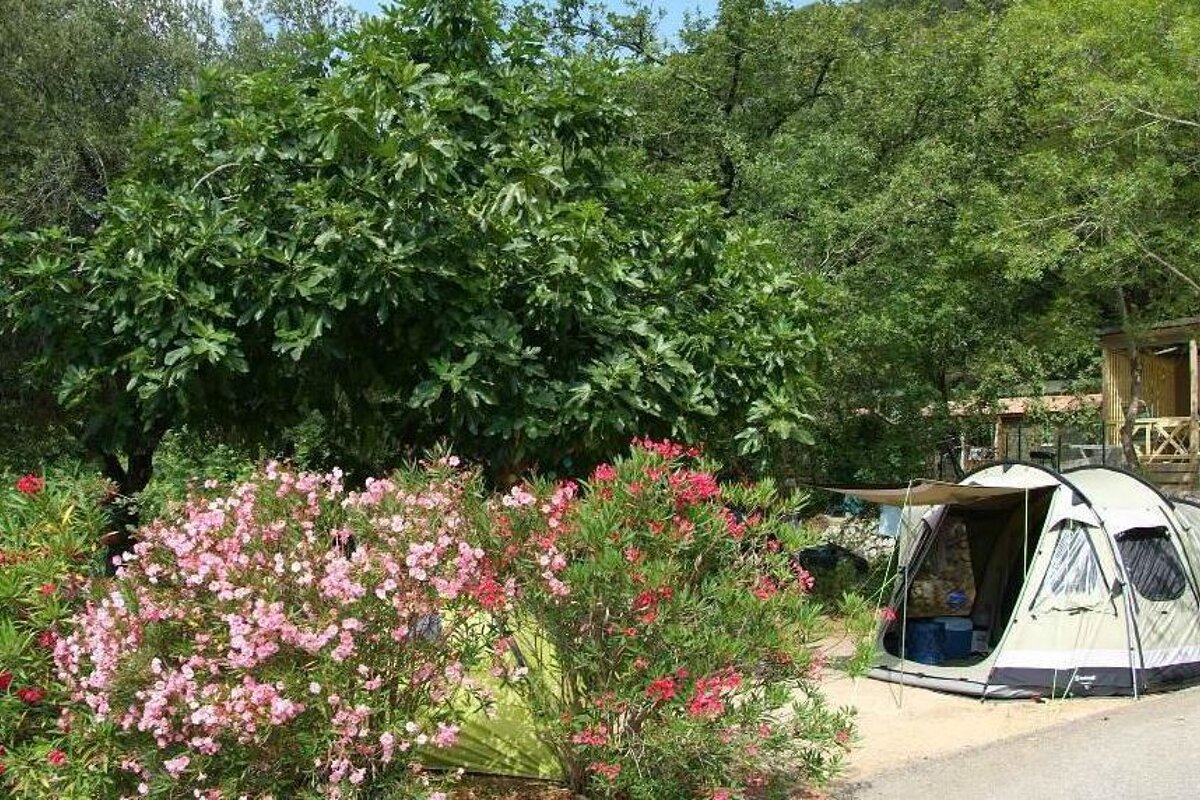 Les Pinedes Camping, La Colle sur Loup area