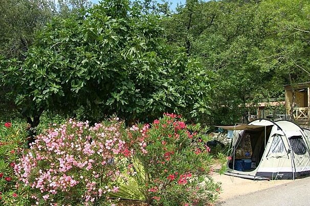 Les Pinedes Camping, La Colle sur Loup area