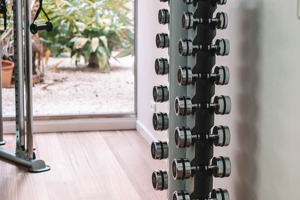 A modern gym featuring a tall dumbbell rack, a cable machine, and a large window overlooking an outdoor garden with plants and gravel.