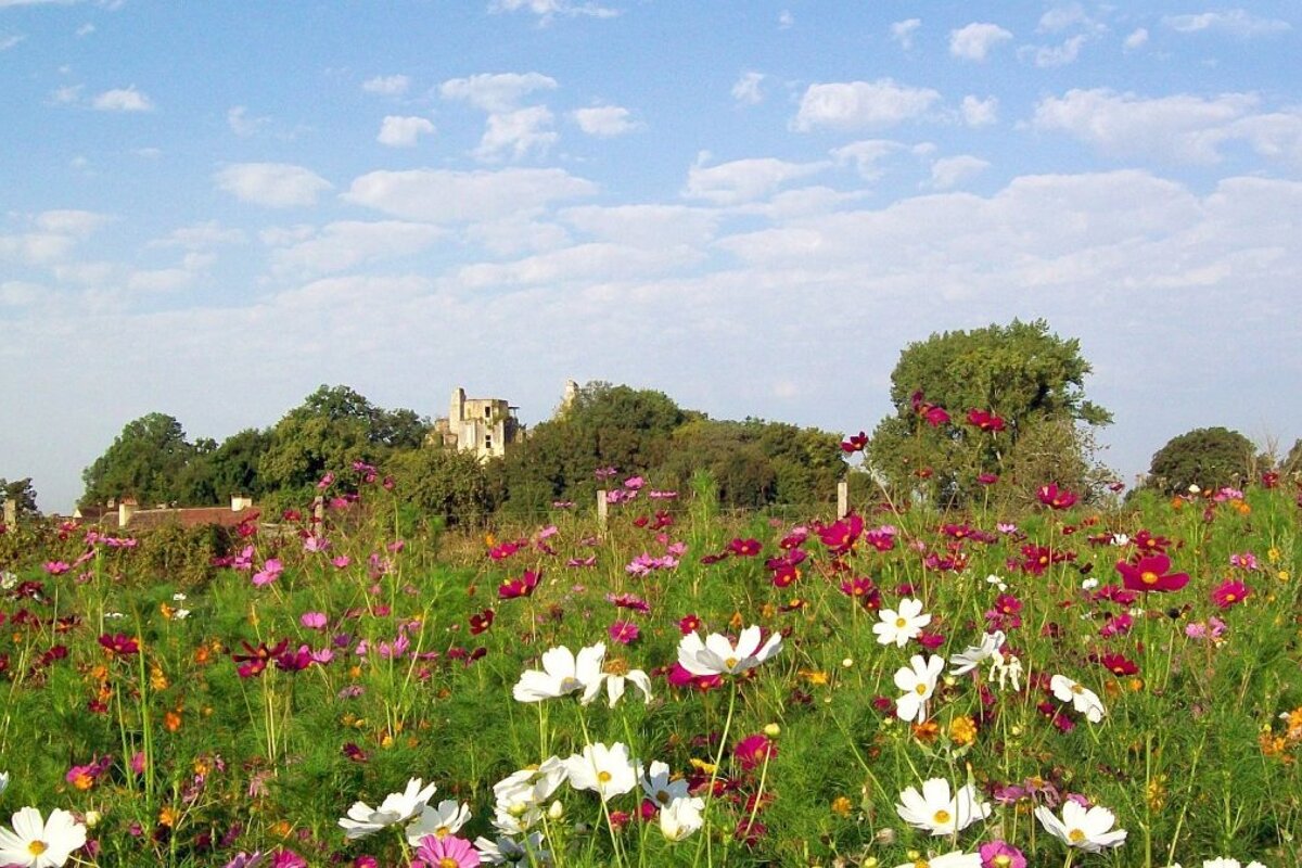 Chateau de l'Herm, Rouffignac-Saint-Cernin