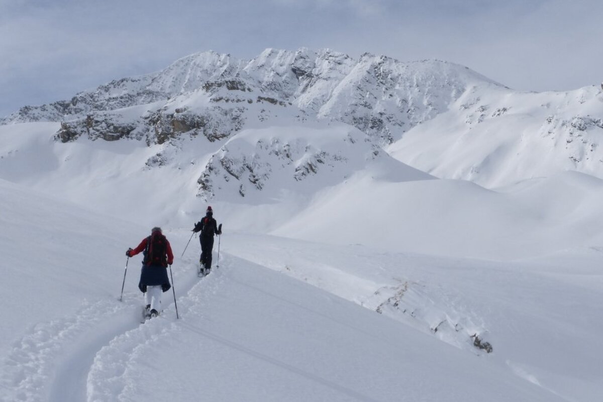 two ski tourers