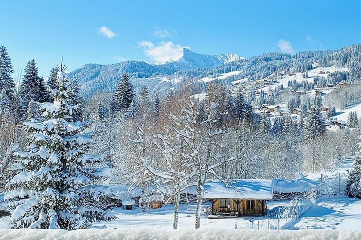 A snowy landscape with a mountain in the background