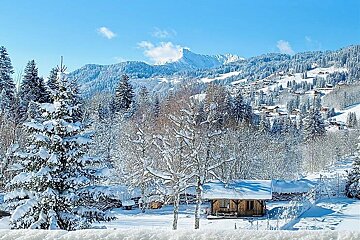 A snowy landscape with a mountain in the background