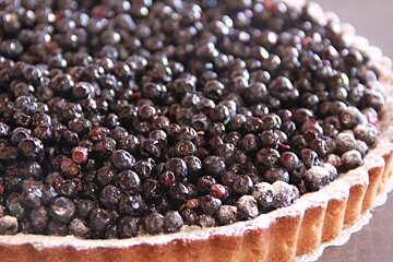 Bilberries - Myrtilles