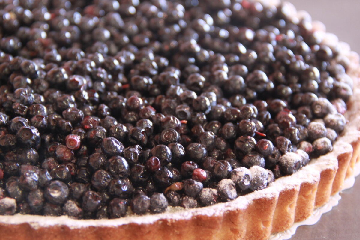 Bilberries - Myrtilles