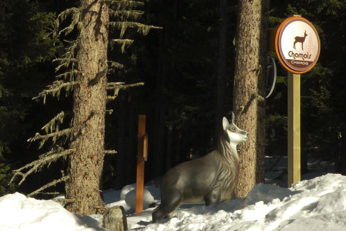 a childrens piste in Meribel