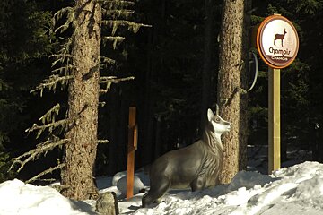 a childrens piste in Meribel