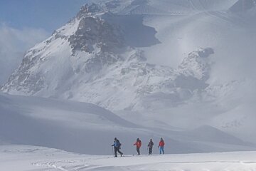 skiers in the mist