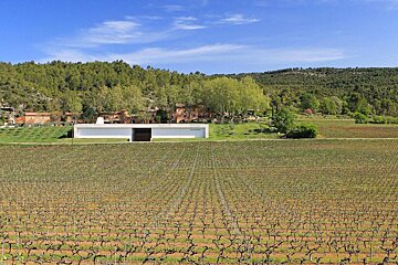 Chateau Thuerry Vineyard, Villecroze