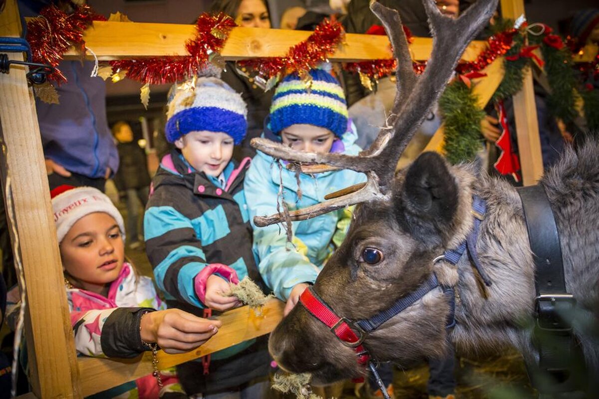 Father Christmas & his Reindeer in Vallandry