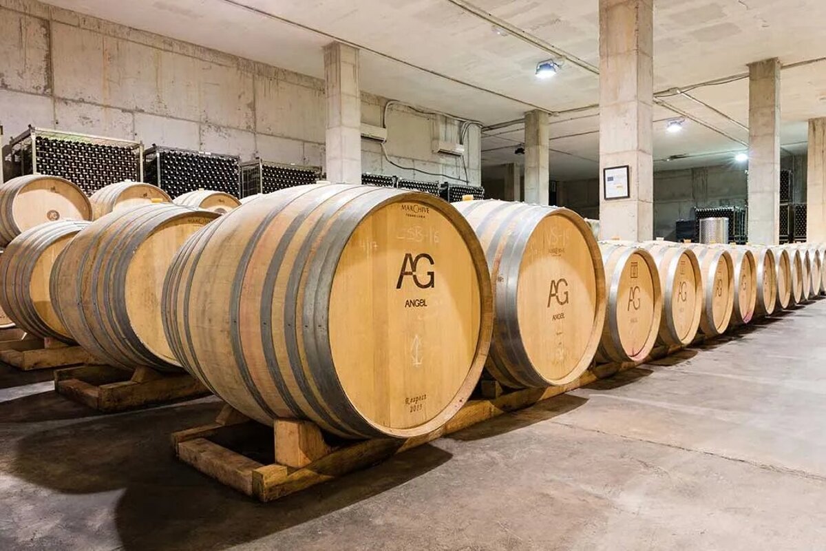 Bodegas Angel Vineyard, Santa Maria del Cami