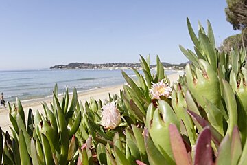 Cavalaire sur Mer