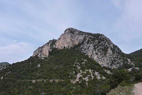 A mountain with trees on it and a path going up to it