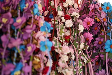 flowers in santa gertrudis