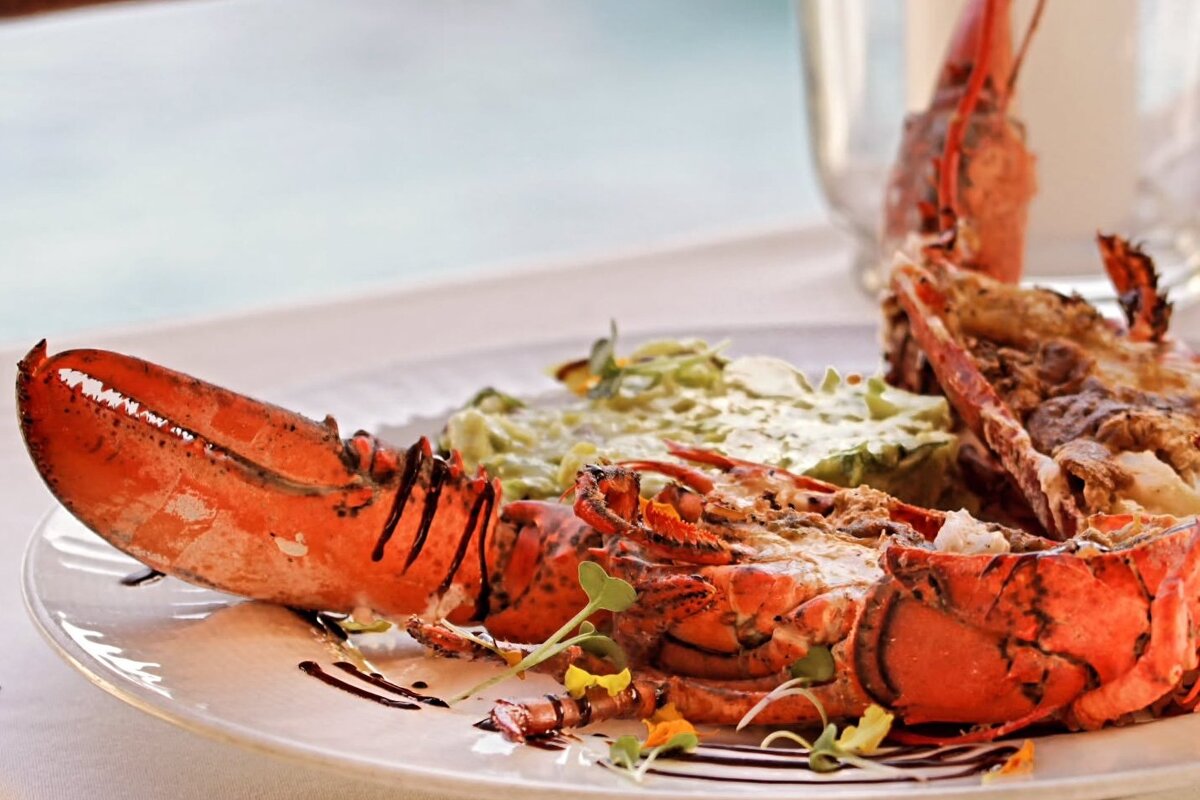 Lobster dish at Il Paradiso, Mallorca