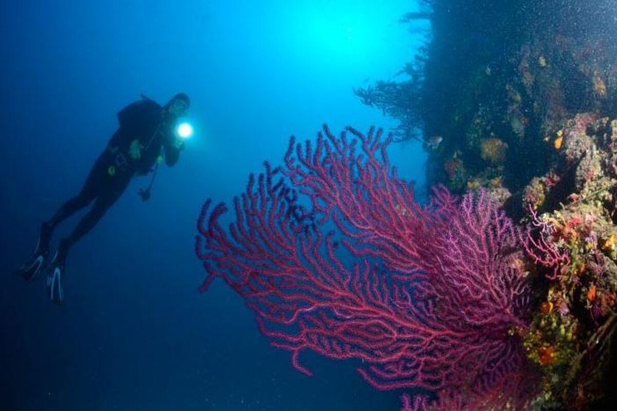 Ketos Diving Centre, Sainte Maxime