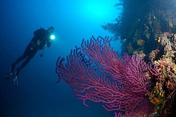 Ketos Diving Centre, Sainte Maxime