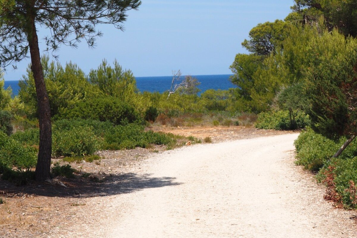 a walking trail with the sea in the background