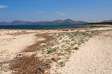 a rugged coastline in mallorca