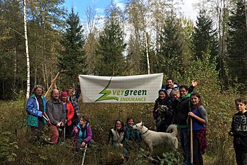 Reforestation with Evergreen Endurance