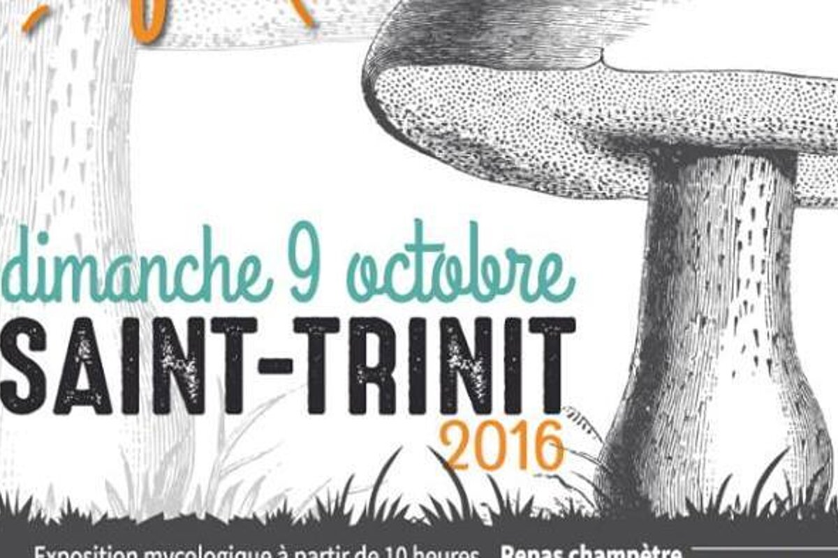 Champignons en Fete, Saint-Trinit