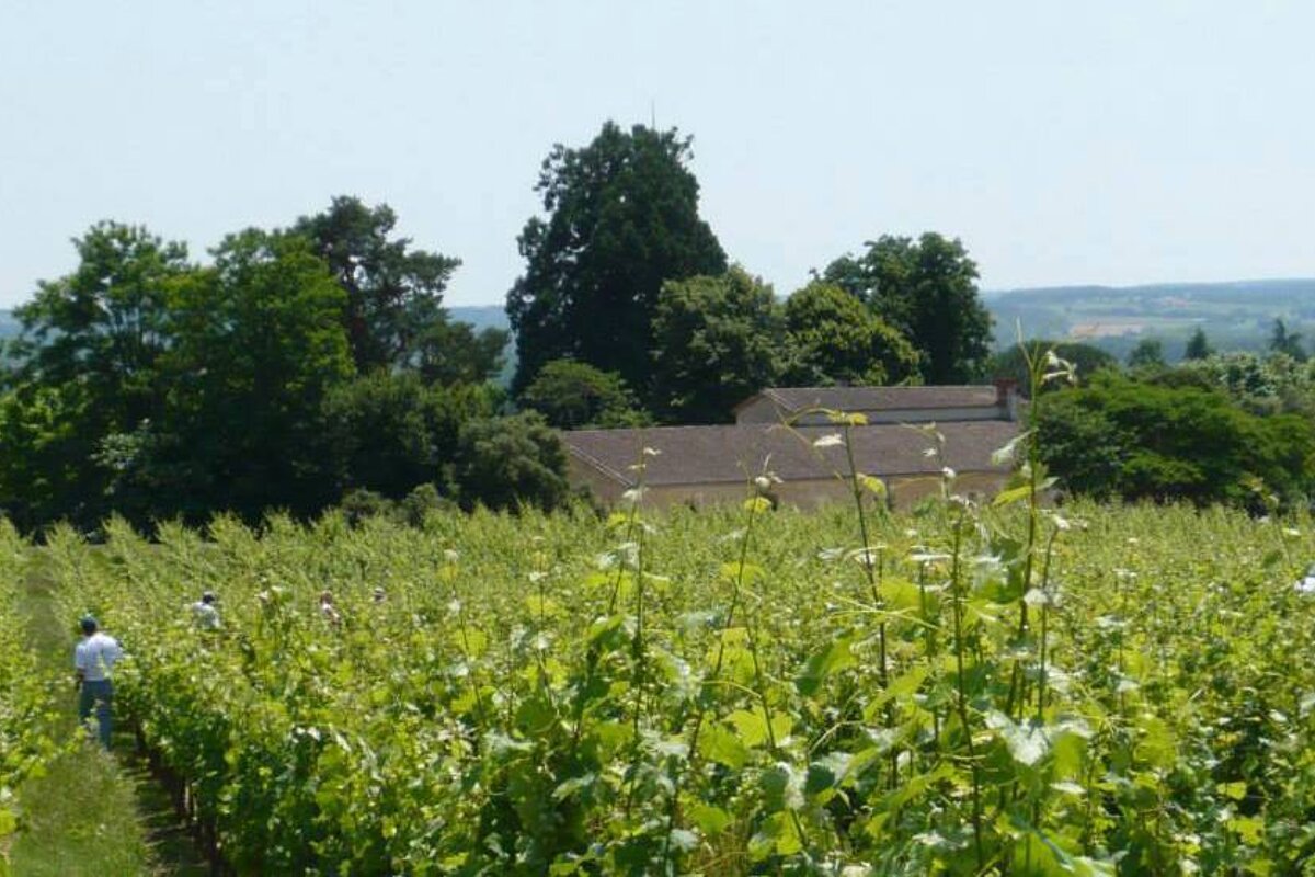 Domaine du Haut-Pecharmant