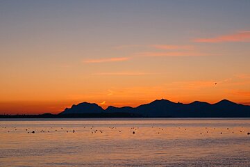 Old Port of Cannes Sunset Cruise Boat Trip