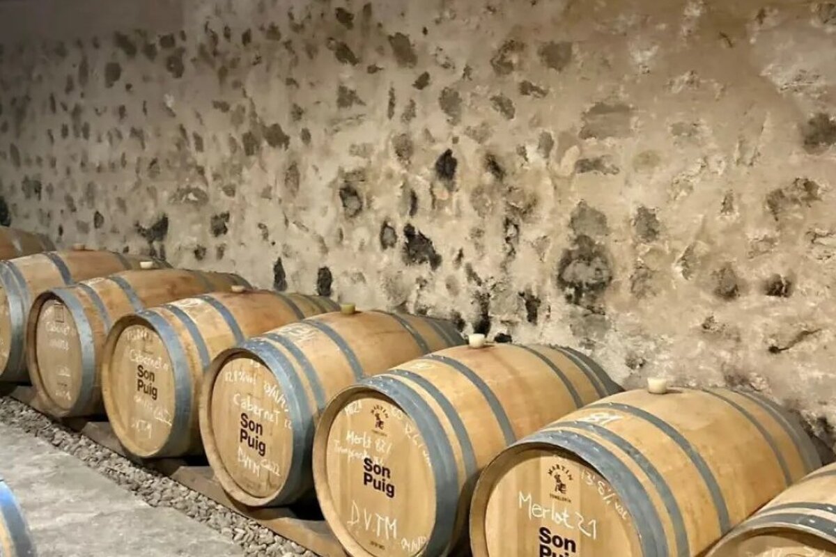Bodegas Son Puig