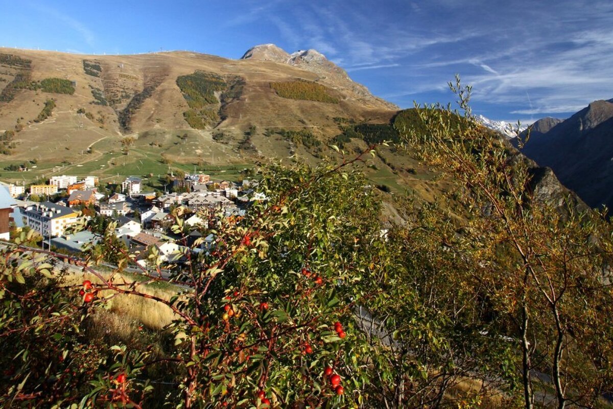 Les 2 Alpes