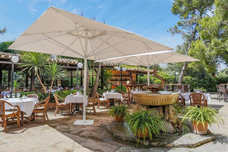 Los Patos Restaurant Review, Port d'Alcudia restaurant terrasse
