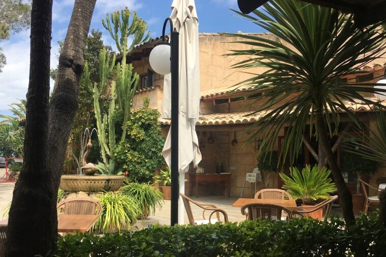 Los Patos Restaurant Review, Port d'Alcudia restaurant terrasse