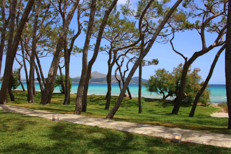 Playa de Muro Hotel, Playa de Muro beach