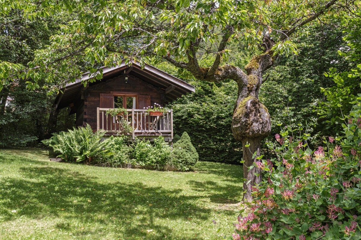 A small wooden cabin sits in the middle of a lush green forest