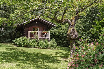 A small wooden cabin sits in the middle of a lush green forest