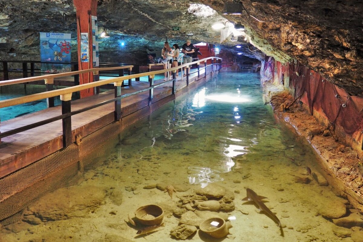 Underground caves at the Cap Blanc Aquarium