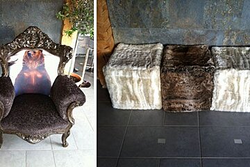 A chair with a picture of a bear on it