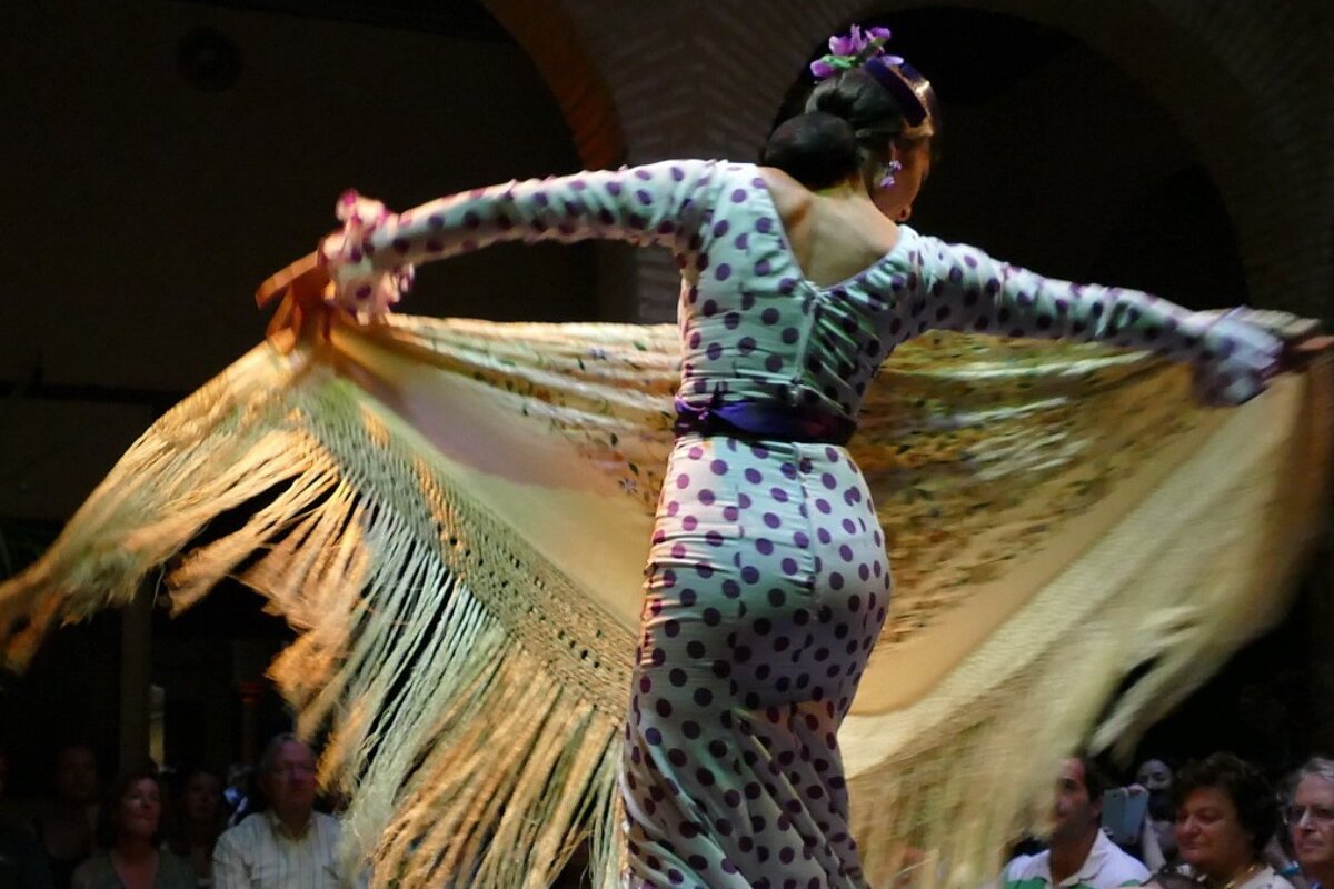 Flamenco Dancer