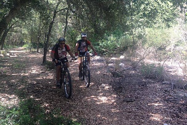 two mountain bikers on a forest trail in mallorca