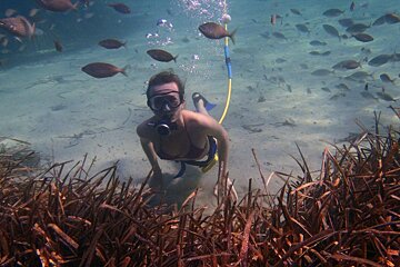 diver and fish underwater