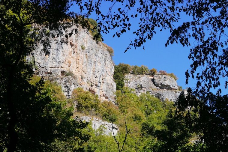 looking through the trees to limestone cliffs in autoire