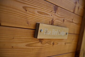 A wooden sign that says blue bird lodge on it