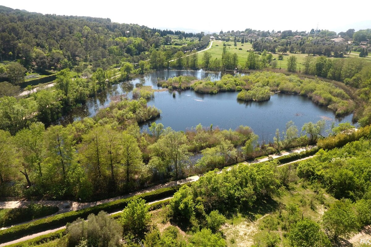 An aerial view of a lake surrounded by trees