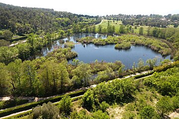 An aerial view of a lake surrounded by trees