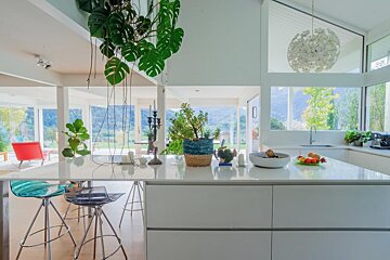 A kitchen with lots of potted plants hanging from the ceiling