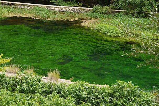 a photo of a green river