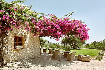Sunny scene with a stone building, a pergola covered in vibrant pink bougainvillea, and a patio with outdoor seating.
